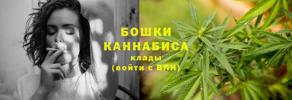 гидра Армянск